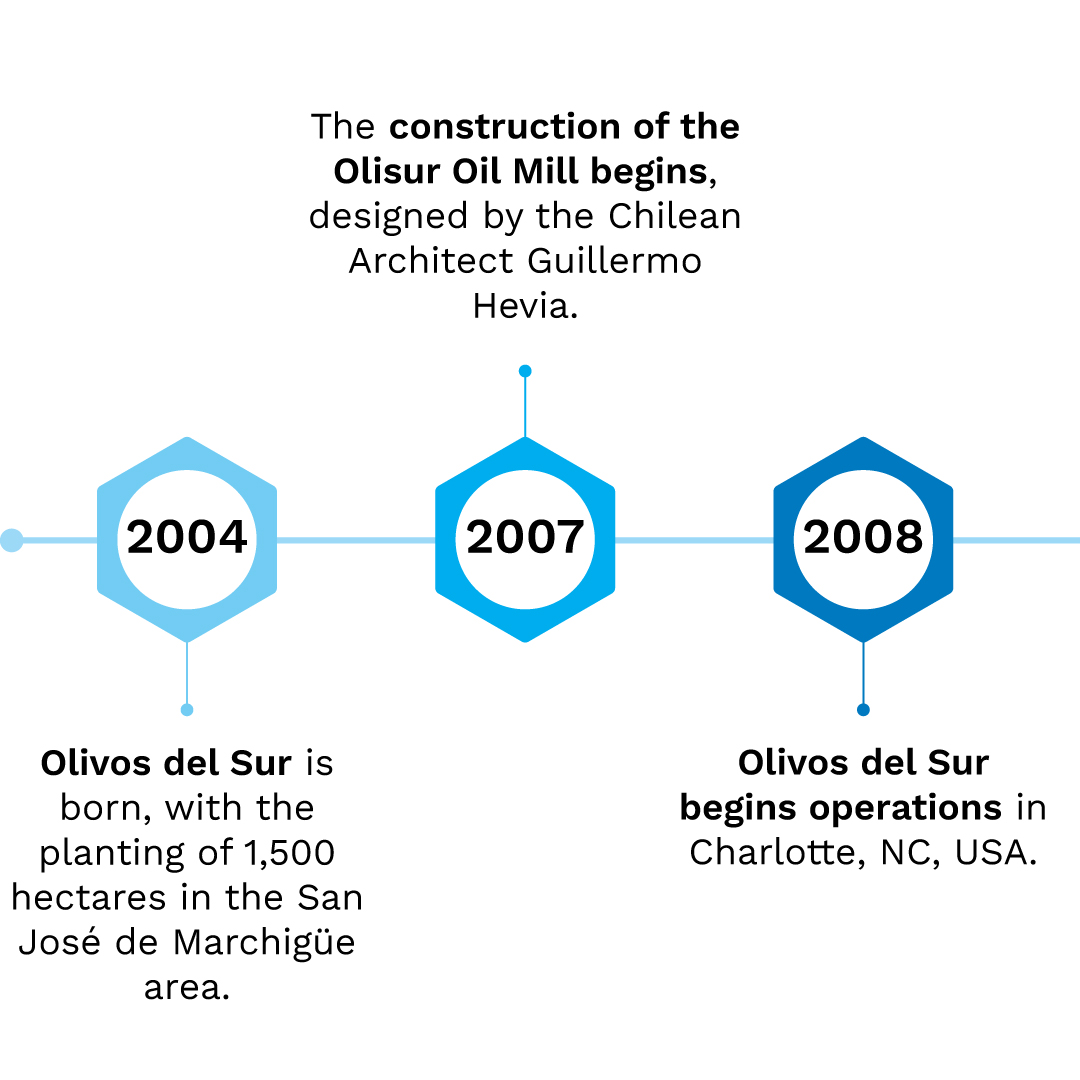 Timeline-olisur-1